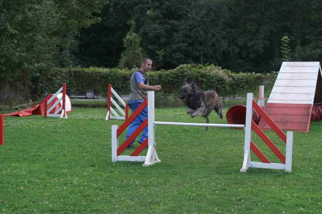 agility 2011-09